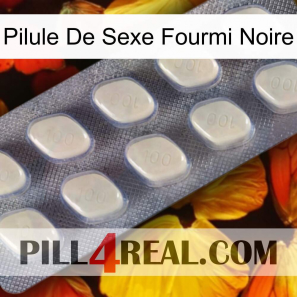 Black Ant Sex Pill 08